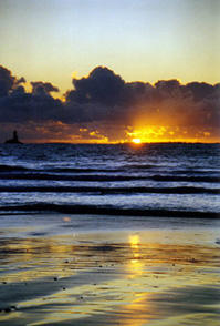 PLAGE - ELEMIAH VOYANCE PLAGE - ELEMIAH VOYANCE
