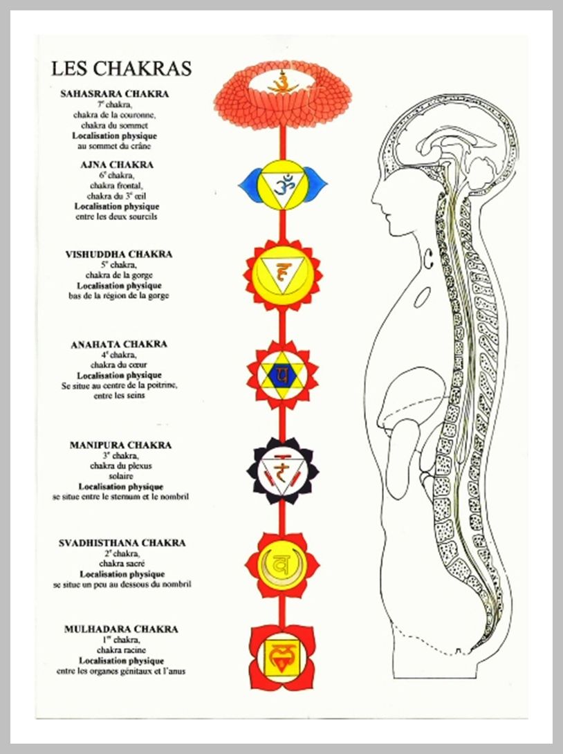 localisation des chakras